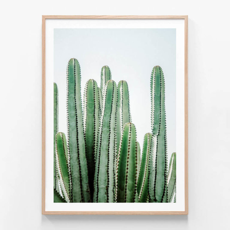 FP575-Lush-Cacti-Oak-Framed-Print