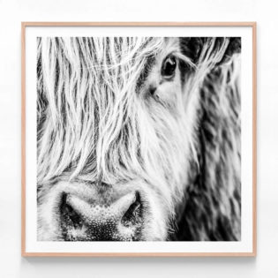 FP757BW-Ewan-Oak-Framed-Print