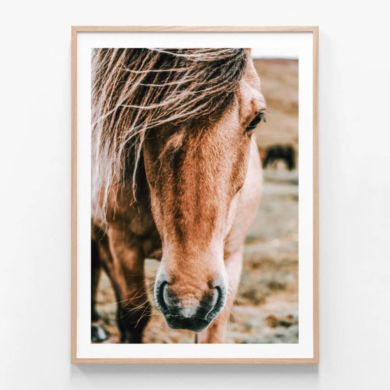 FP768-Wander-Oak-Framed-Print