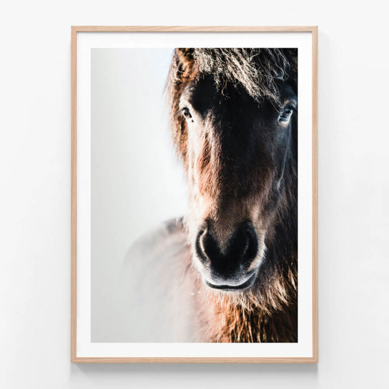 FP771-Misted-Pony-Oak-Framed-Print