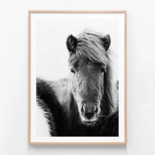 FP772-Leader-Oak-Framed-Print