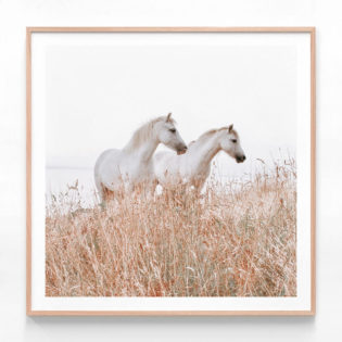 FP774-Welsh-Horses-Oak-Framed-Print