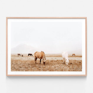 FP783-Grazing-Oak-Framed-Print