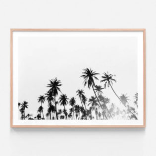 FP922-Black-&-White-Palms-Oak-Framed-Print
