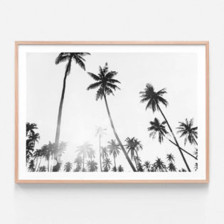 FP923-Sunset-Bokeh-Oak-Framed-Print