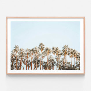 FP928-Desert-Palms-Oak-Framed-Print