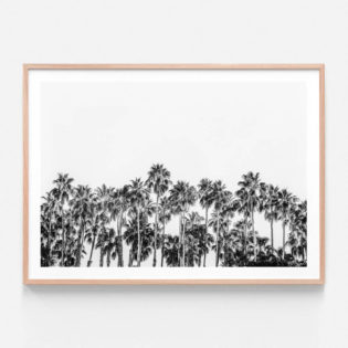 FP928BW-Desert-Palms-Oak-Framed-Print