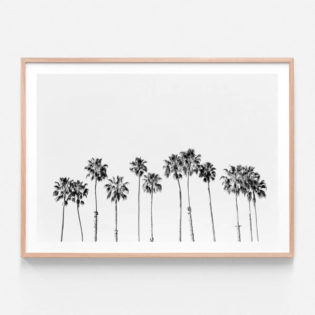 FP932BW-Palm-Line-Oak-Framed-Print