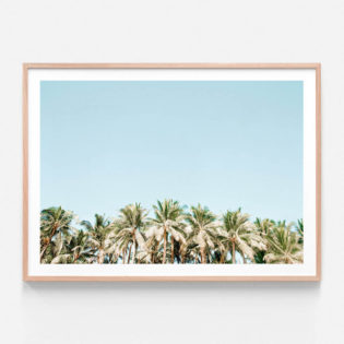 FP933-Coconut-Cluster-Oak-Framed-Print