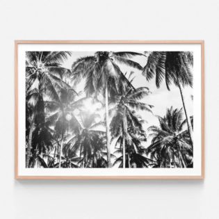 FP938-Palm-Bokeh-Oak-Framed-Print