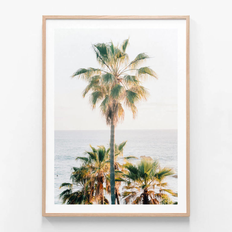 FP939-Laguna-Palm-Oak-Framed-Print