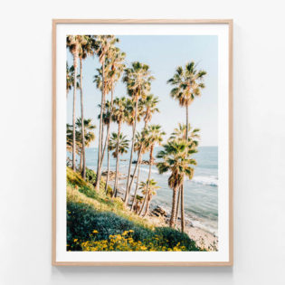 FP940-Laguna-Beach-Oak-Framed-Print
