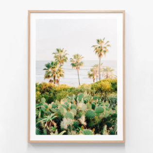 FP941-Laguna-Cacti-Oak-Framed-Print