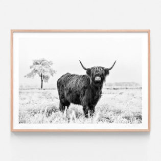 FP994-Clyde-Oak-Framed-Print