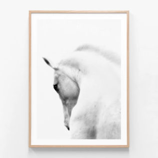 APP012-White-Stallion-Oak