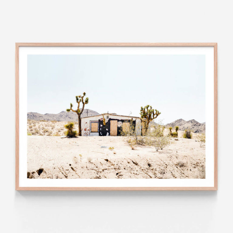 APP025-Desert-Life-Oak-Framed-Print