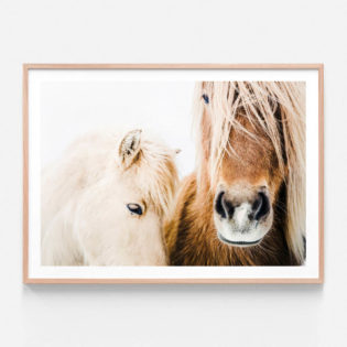 APP027-Wild-Ponies-Oak-Framed-Print