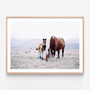 APP040-Mother-&-Foal-Oak-Framed-Print