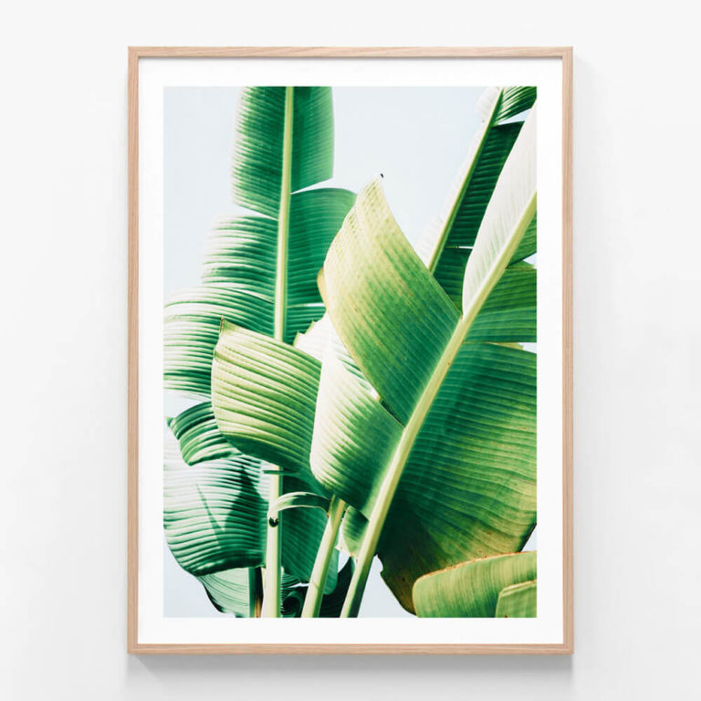 APP044-Banana-Leaves-Oak-Framed-Print