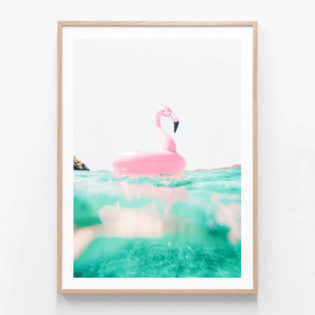 Pink Flamingo Framed Print