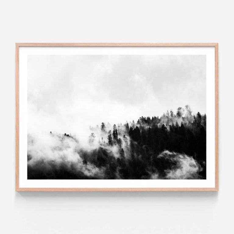 APP092-Misty-Forest-Oak-Framed-Print