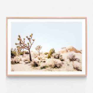 APP101-Mojave-Desert-Oak-Framed-Print