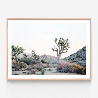 APP103-Desert-Evening-Oak-Framed-Print