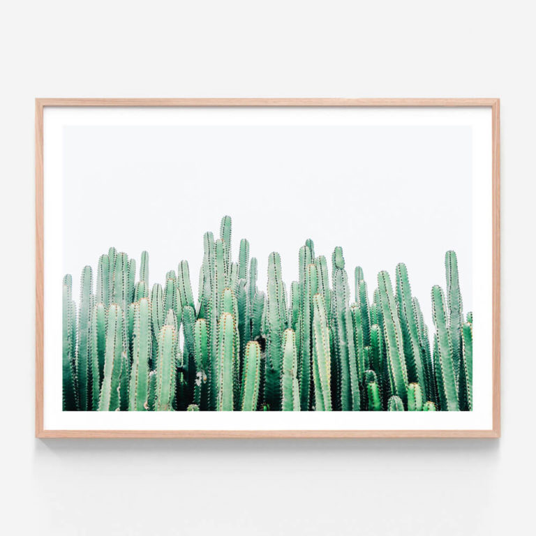 APP131-Cacti-Cluster-Oak-Framed-Print
