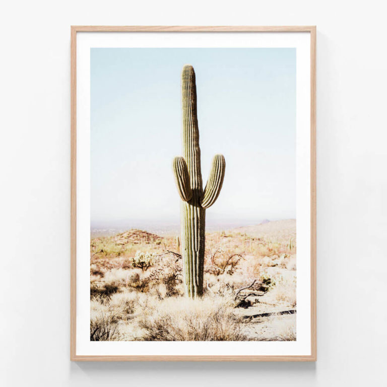 APP140-California-Cacti-Oak-Framed-Print