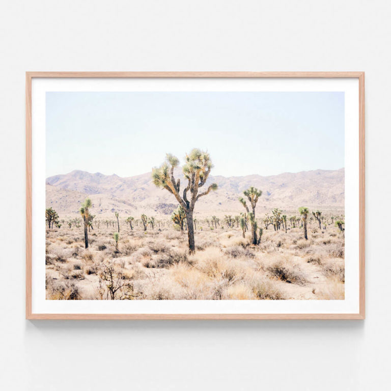 APP151-Desert-Plain-Oak