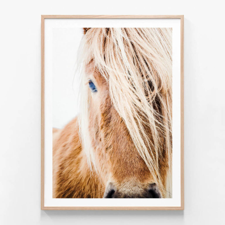 APP162-Wild-Pony-Oak-Framed-Print