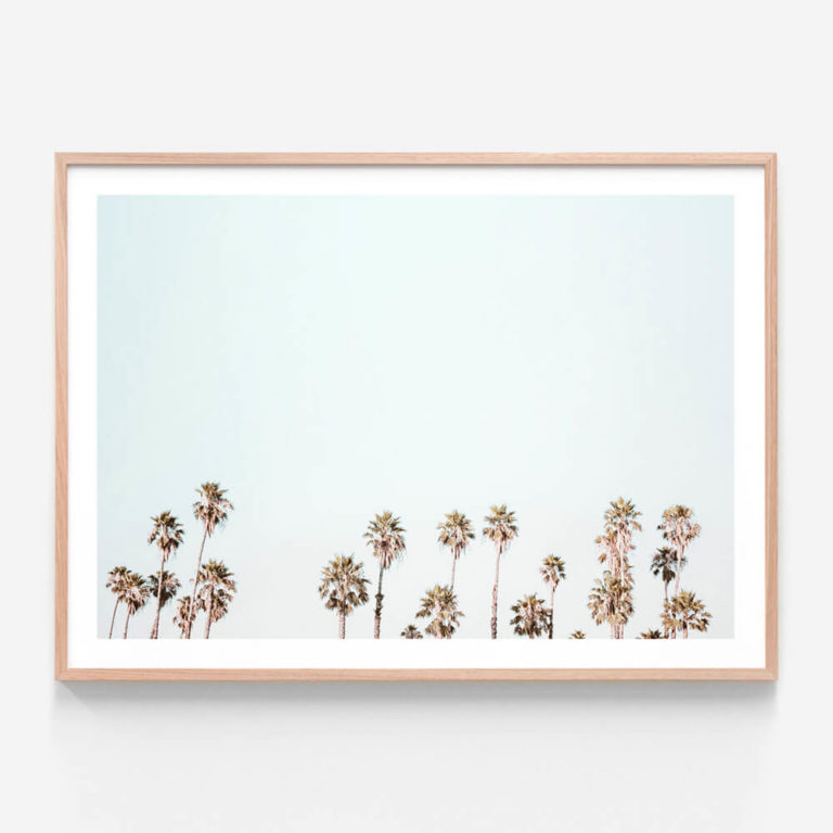 APP341-Palm-Tops-Oak-Framed-Print