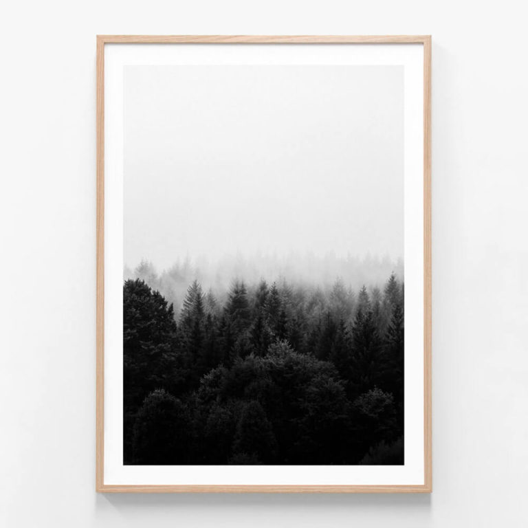 Black & White Forest Framed PRint