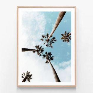 Underneath The Palms Framed Print