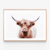 Duncan Highland Cow Framed Print