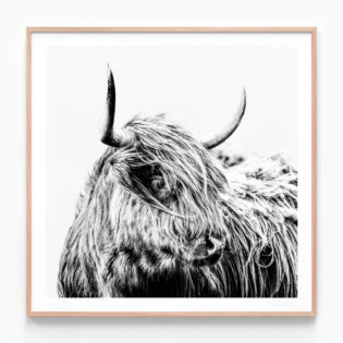 Hamish B&W Highland Cow Framed Print