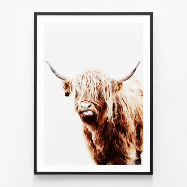 Dougal Highland Cow Framed Print or Canvas Wall Art 41 Orchard