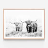 APP407-Highland-Pair-BW-Oak-Framed-Print