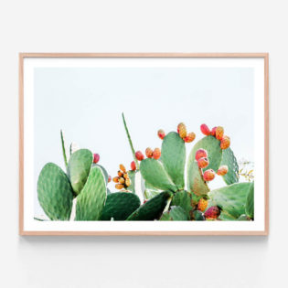 APP667-Prickly-Fruits-Oak-Framed-Print