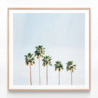 APP682-Palm-Springs-Sky-Square-Oak-Framed-Print