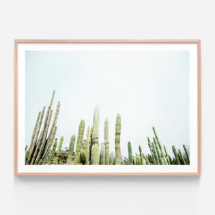 Cactus-Print-Oak