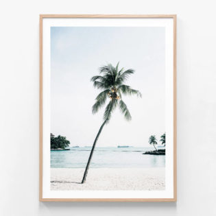 Paradise Palm Tree Framed Print