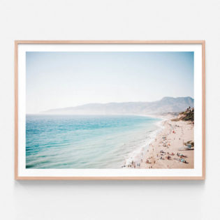 FP890-Santa-Monica-Oak-Framed-Print