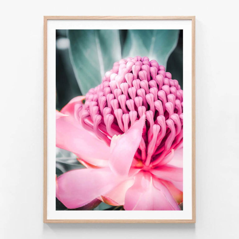 Waratah-Print-Oak