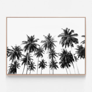C351-Coconut-Sky-Oak-Canvas-Print