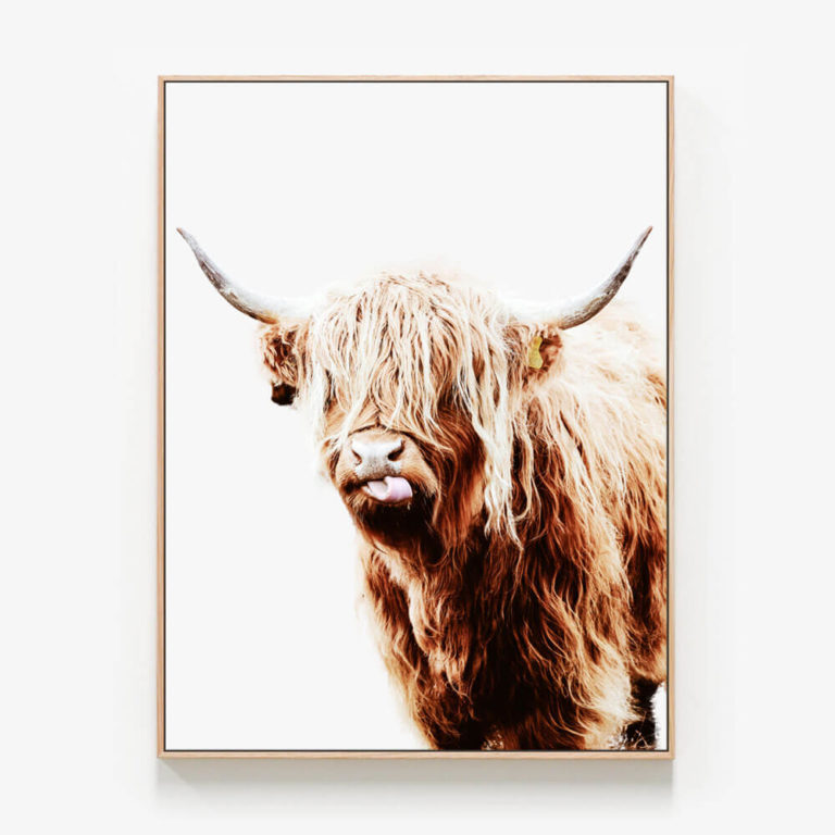 C391-Dougal-Oak-Canvas-Print