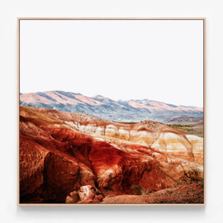 C668-Red-Rock-Oak-Canvas-Print