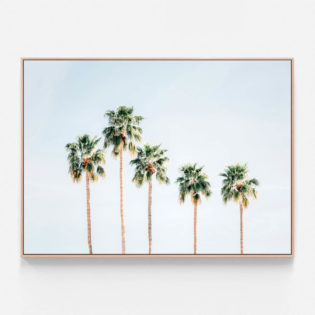 C682-Palm-Springs-Sky-Oak-Canvas-Print