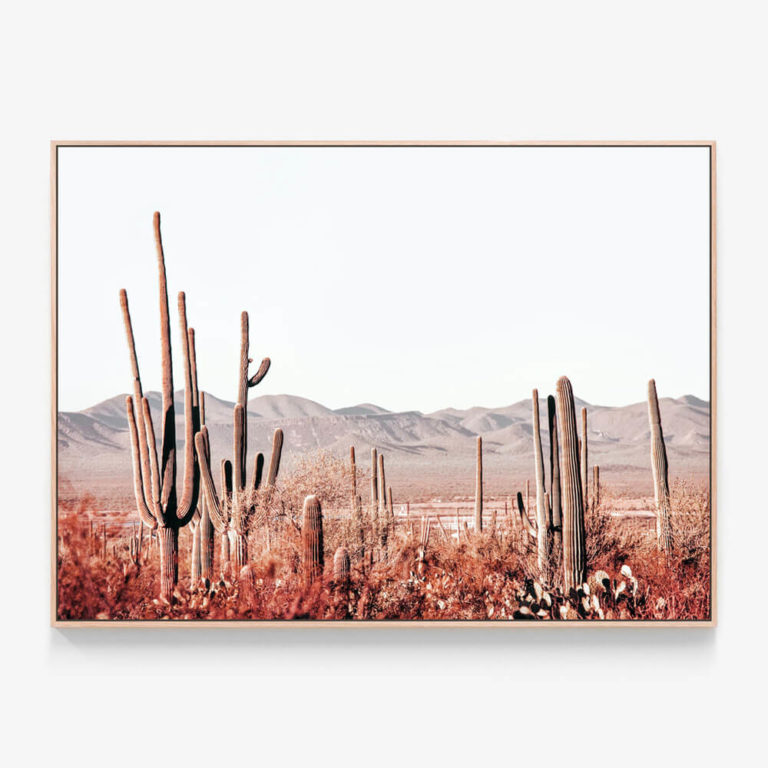 C692-Cacti-Wilderness-Oak-Canvas-Print