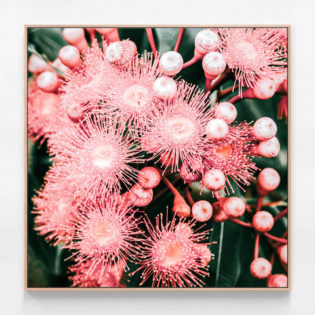 C730-Bush-Florals-Oak-Canvas-Print